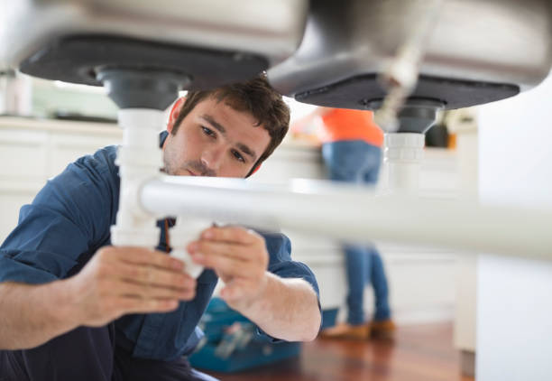 Best Plumbing Inspection Services  in Hampton Manor, NY